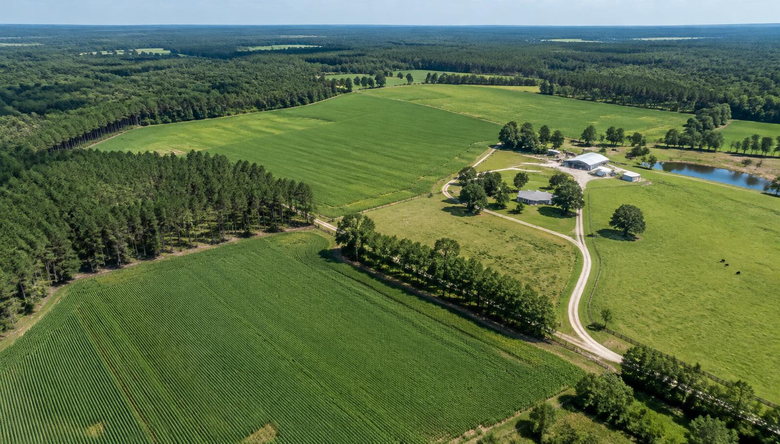 Aerial view of a large rural property with farmland, pine timber tracts, pasture, access roads, and farm buildings
